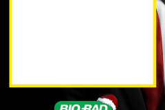 Bio-rad-template-2